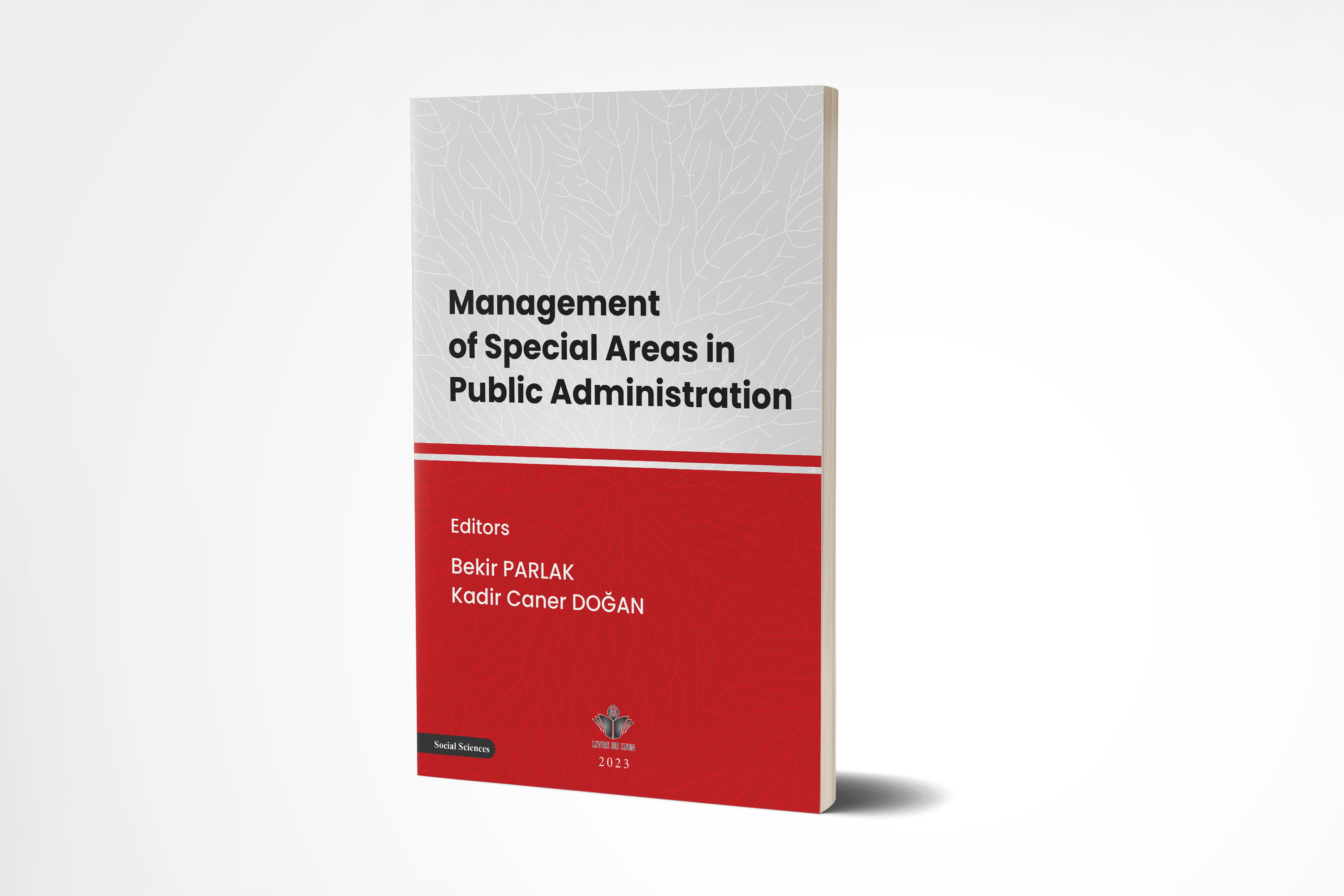 Management of Special Areas in Public Administration